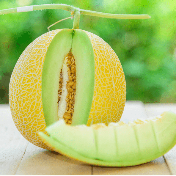 Melon miodowy